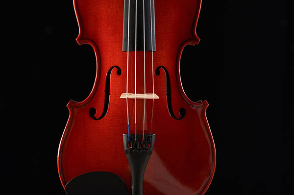 大提琴和小提琴区别在哪里？学那个难度大？
